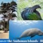 Andaman Islands Information