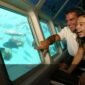 Coral Safari Andaman: Experience underwater sights