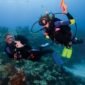 Scuba diving instructor