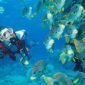 Discover Scuba Diving Andaman