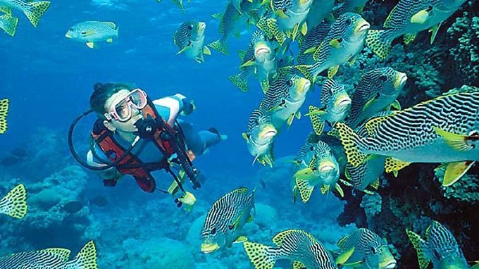 Discover Scuba Diving Andaman